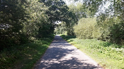 Bassingfield lane, just outside the riding school.
