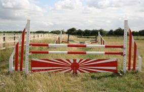 Showjumping paddock