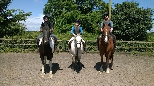 Holly, Rocky and Ted having a lesson in the sun.