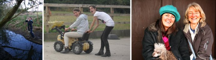 Bassingfield Riding School & Livery